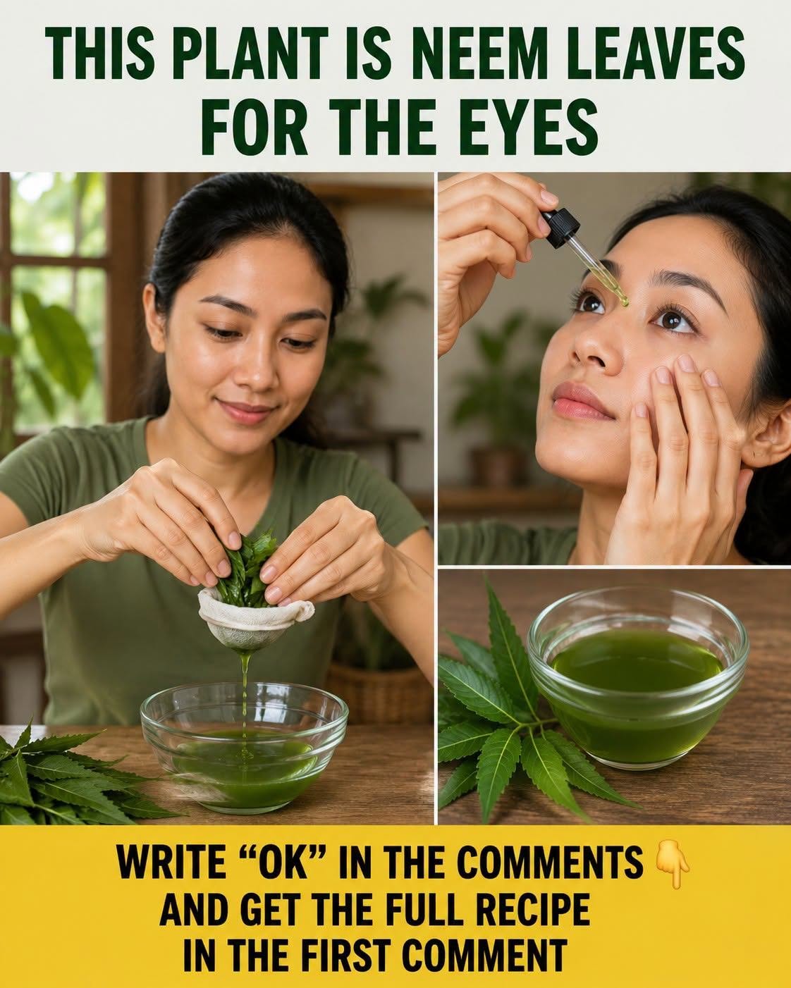 Oregano for Eye Wellness: A Simple Herbal Tradition That May Support Daily Visual Comfort 🌿👁️✨