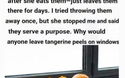Search Results for: Don’t Throw Away Tangerine Peels