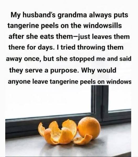 Search Results for: Don’t Throw Away Tangerine Peels