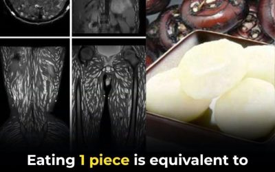Eating Just One Bite Can Be Harmful: How to Protect Yourself from Foodborne Parasites