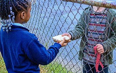 He Came Back Worth Millions for the Girl Who Fed Him Through a Fence.. sbl