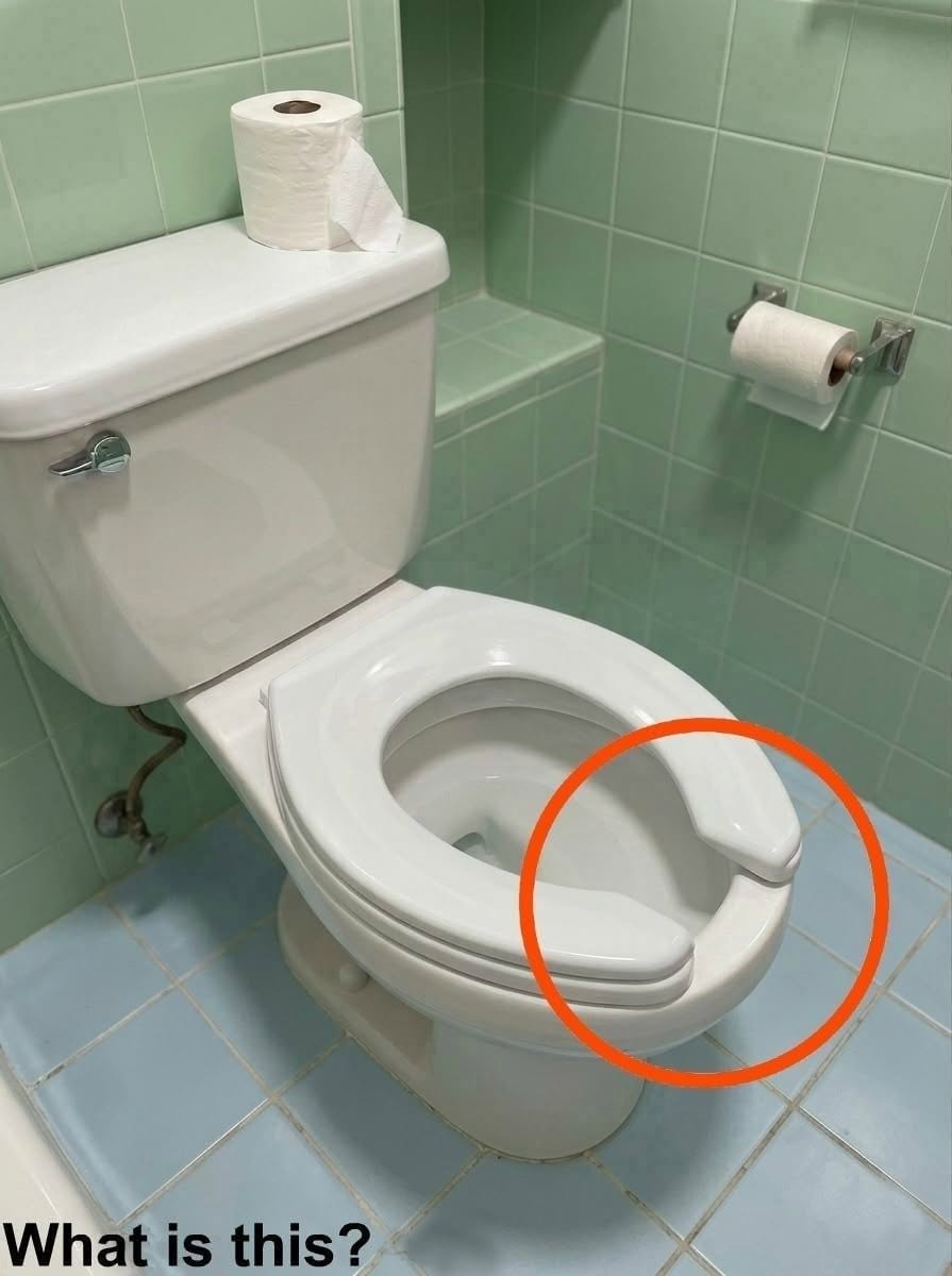 I went to visit a friend. We spent hours drinking coffee and talking about all kinds of things. At one point, I spilled some coffee on my clothes, so I went to the bathroom to clean them. While I was there, I noticed a toilet seat with an opening like this. It’s the first time in my life that I’ve ever seen something like it, and I have absolutely no idea why it’s designed that way.