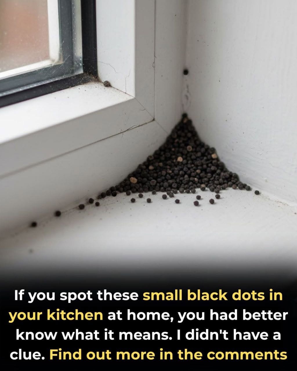 What Are These Strange Black Dots In Your Kitchen
