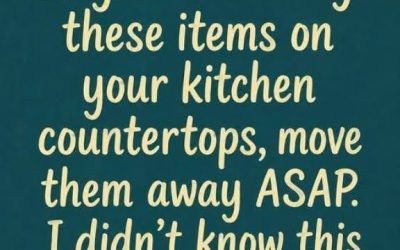 10 Things You Should Never Leave on Your Kitchen Counter …
