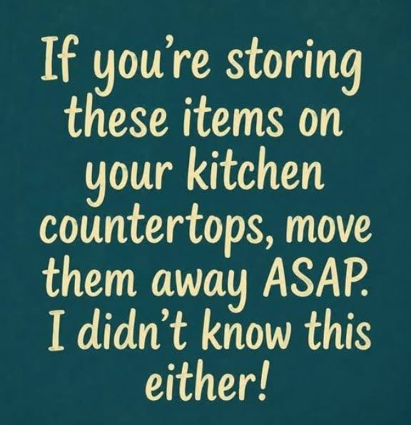 10 Things You Should Never Leave on Your Kitchen Counter …