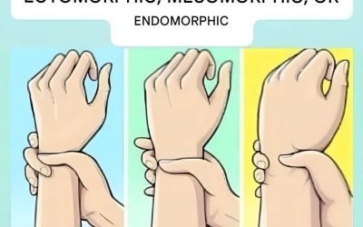 Ectomorph, Mesomorph, or Endomorph? Discover Your Body Type and How to Make the Most of It