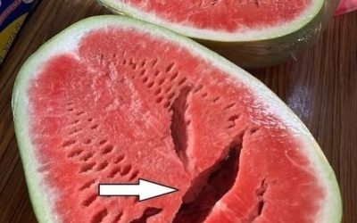 You cut open a watermelon and saw cracks? Stop eating it immediately! Here’s what it means!