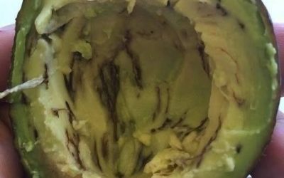How to Know if That Avocado Is Safe to Eat