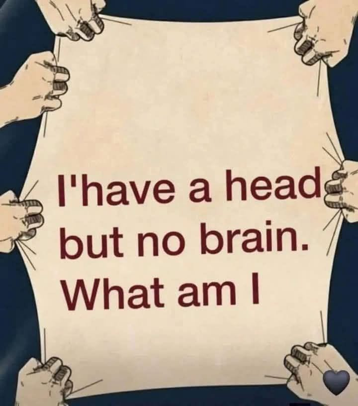 I Have a Head but No Brain… What Am I?