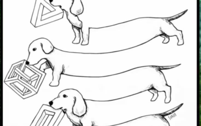 Which Dog Has a Full Body? The Internet Can’t Agree!
