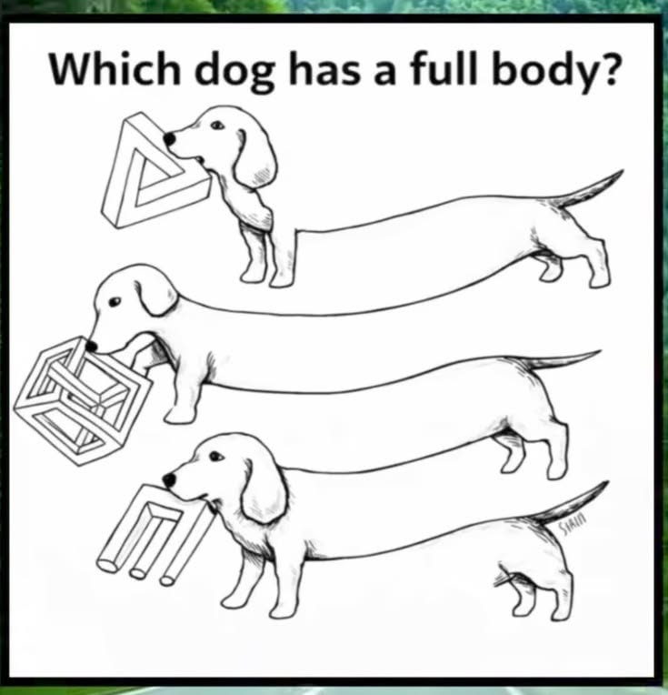 Which Dog Has a Full Body? The Internet Can’t Agree!