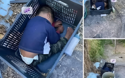 This approximately 2-year-old boy was found… See more🥀🌖🌩️ 🥀🌖🌩️
