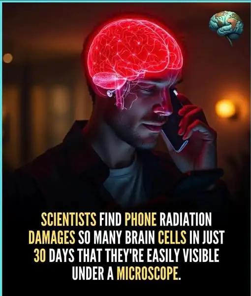 New Study Reveals Mobile Phone Radiation May Damage Brain Cells in Just 30 Days