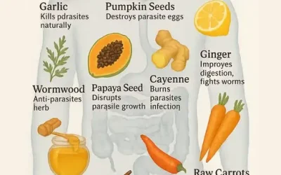 Foods That Fight Parasites: Natural Ways to Protect Your Gut Health