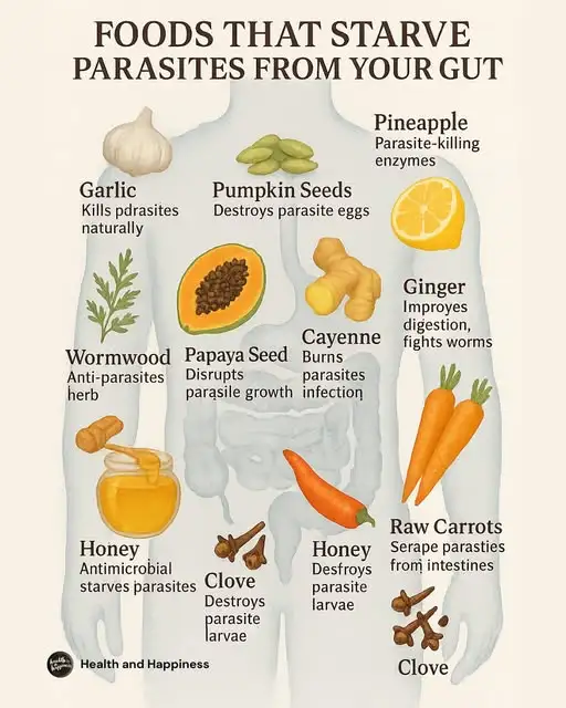 Foods That Fight Parasites: Natural Ways to Protect Your Gut Health