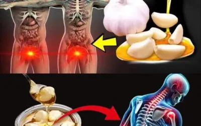 Take Honey and Cloves After 50: Fix 13 Common Health Issues in One Week!