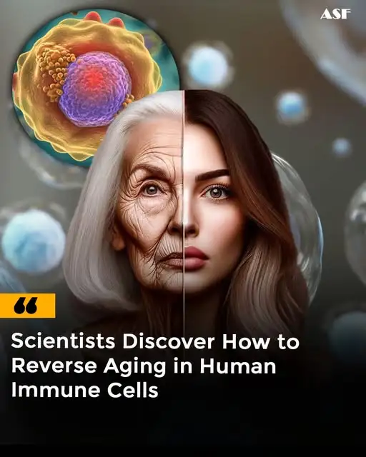 Stanford Scientists May Have Found a Way to Rejuvenate the Immune System — And It’s Hidden in Our Blood