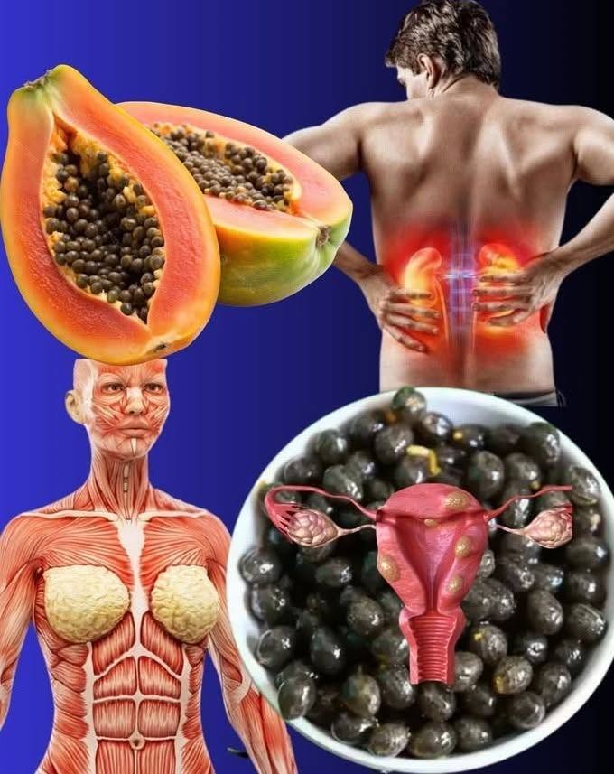Papaya & Papaya Seeds: Nutrition Facts and Common Culinary Uses