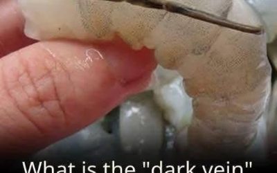 What exactly is the shrimp vein?