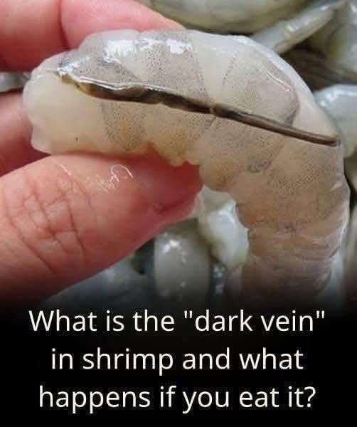 What exactly is the shrimp vein?