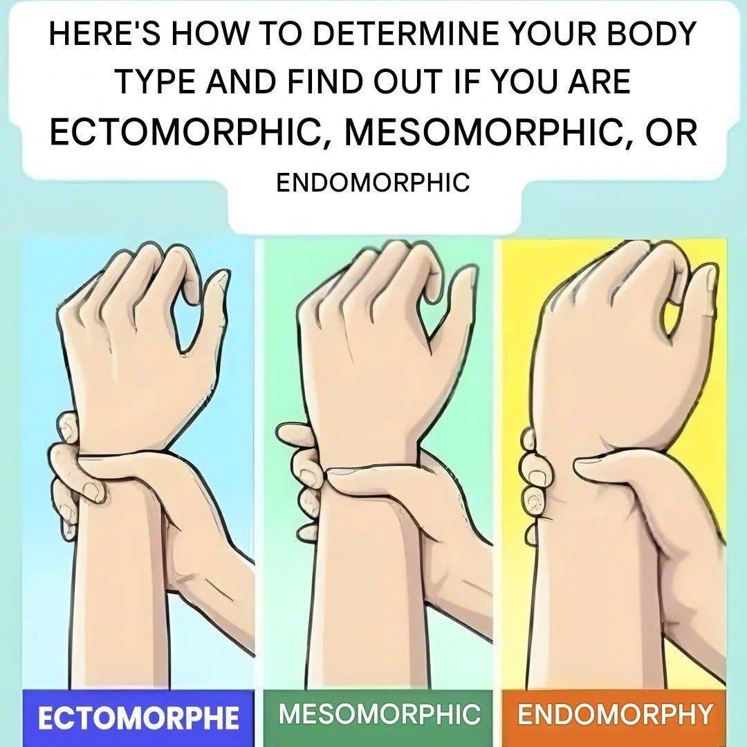 Ectomorph, Mesomorph, or Endomorph? Discover Your Body Type and How to Make the Most of It