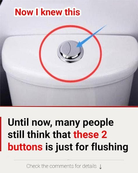 Many People Still Think Those 2 Buttons Are Just for Flushing — Here’s Why They’re Actually a Secret to Saving Water & Money