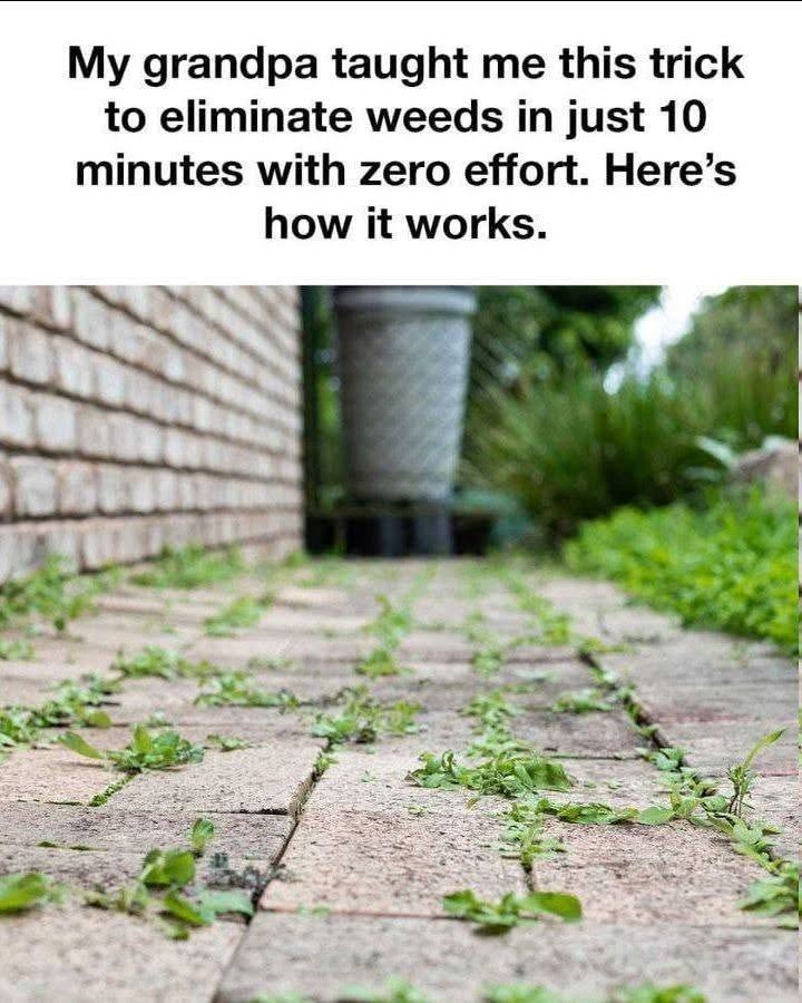 My grandpa taught me this trick to kill driveway weeds with 0 effort. Here’s how it works