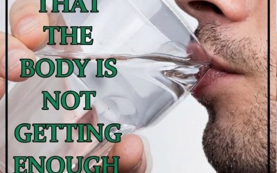 https://family-recipes.gpspain.com/8-things-you-absolutely-sh/