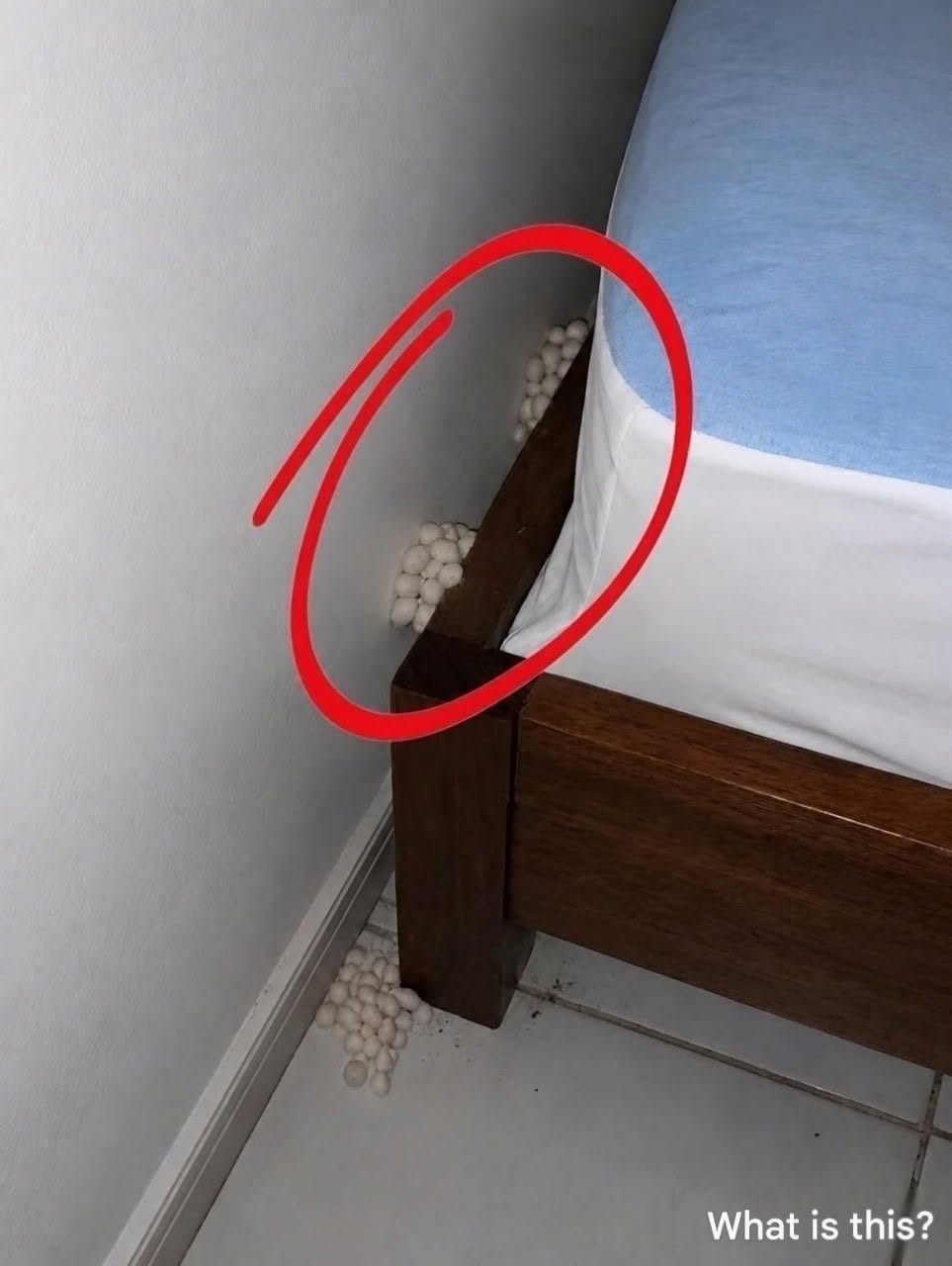 I arrived home exhausted, expecting a peaceful night, but one detail made me realize something was wrong.