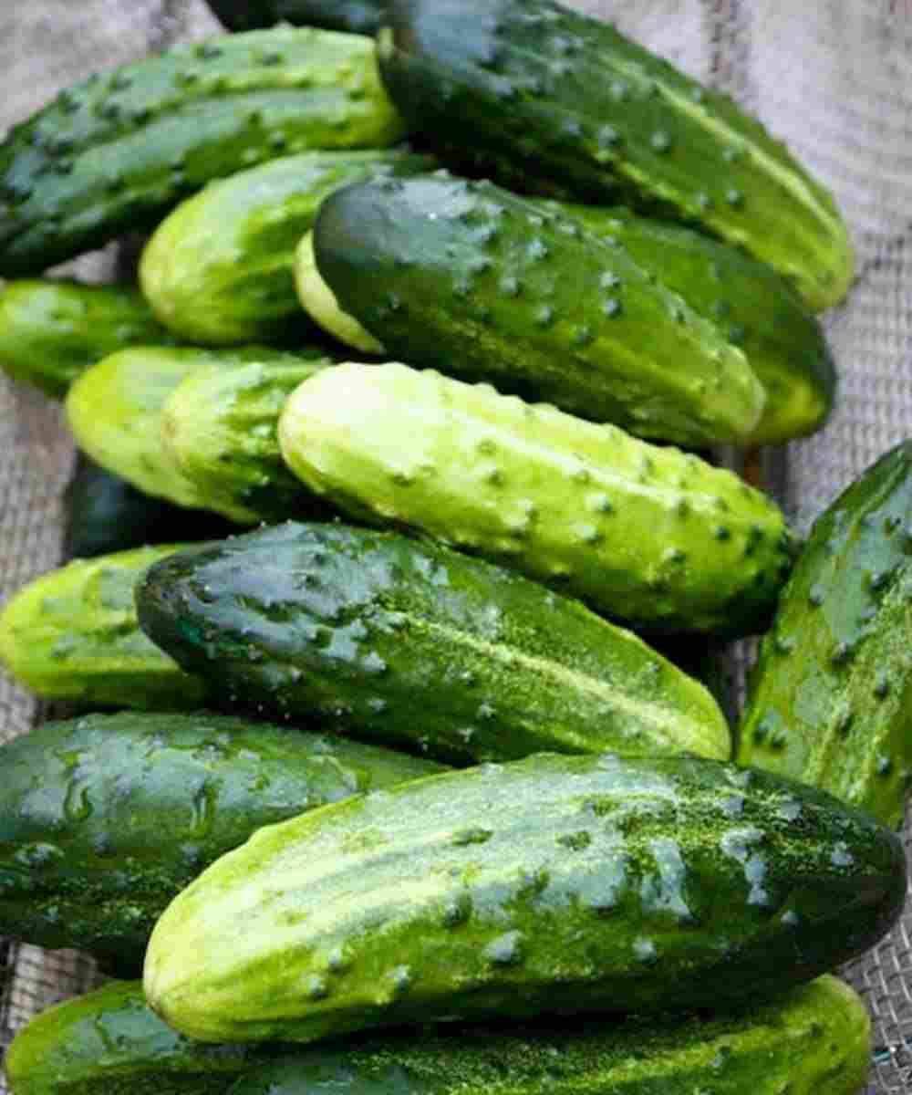 Doctors reveal that eating cucumber in salads causes… See more