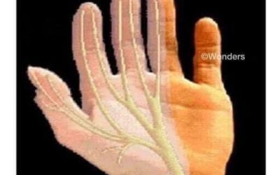 Why do your hands fall asleep?