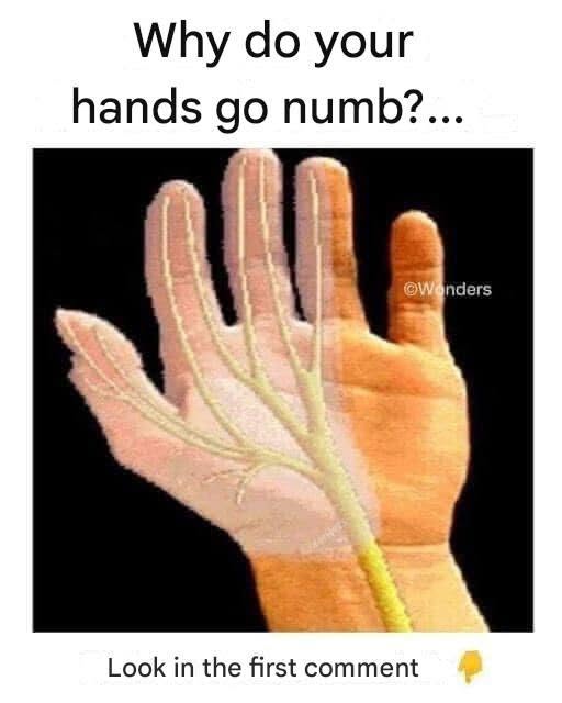 Why do your hands fall asleep?