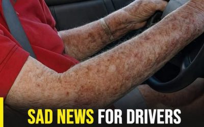 Drivers Over 70: Understanding License Renewal Rules and What Seniors Should Know