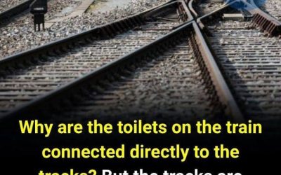 Why are the toilets on the train connected directly to the tracks?..see more below