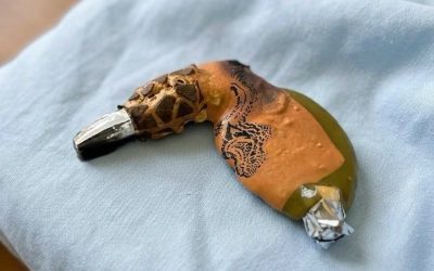 Found in the oven after cooking Thanksgiving dinner…see more
