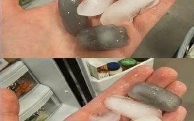 Why Are Ice Cubes in My Fridge Gray?