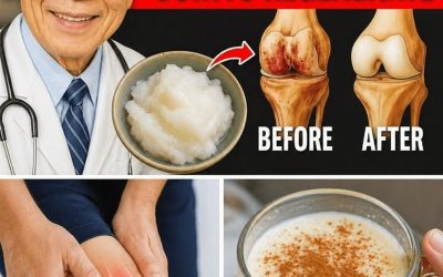 97-Year-Old Orthopedic Doctor Says: This 1 Food Can Rebuild Knee Cartilage in Just 24 Hours!..SEE MORE BELOW