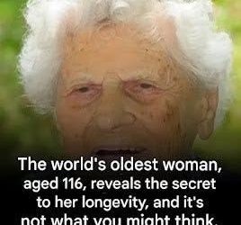 Lessons From the World’s Oldest People: What Longevity Research Really Tells Us