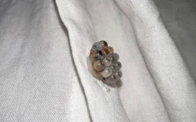 I found these tiny balls in my bed and nearly had a heart att.ack: here’s what they were