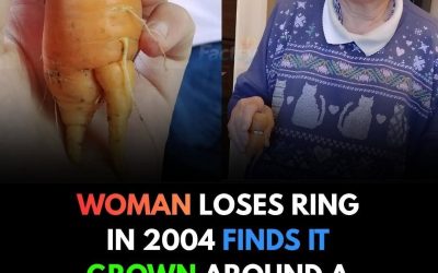 A woman lost her engagement ring in the dirt. Thirteen years passed…see more