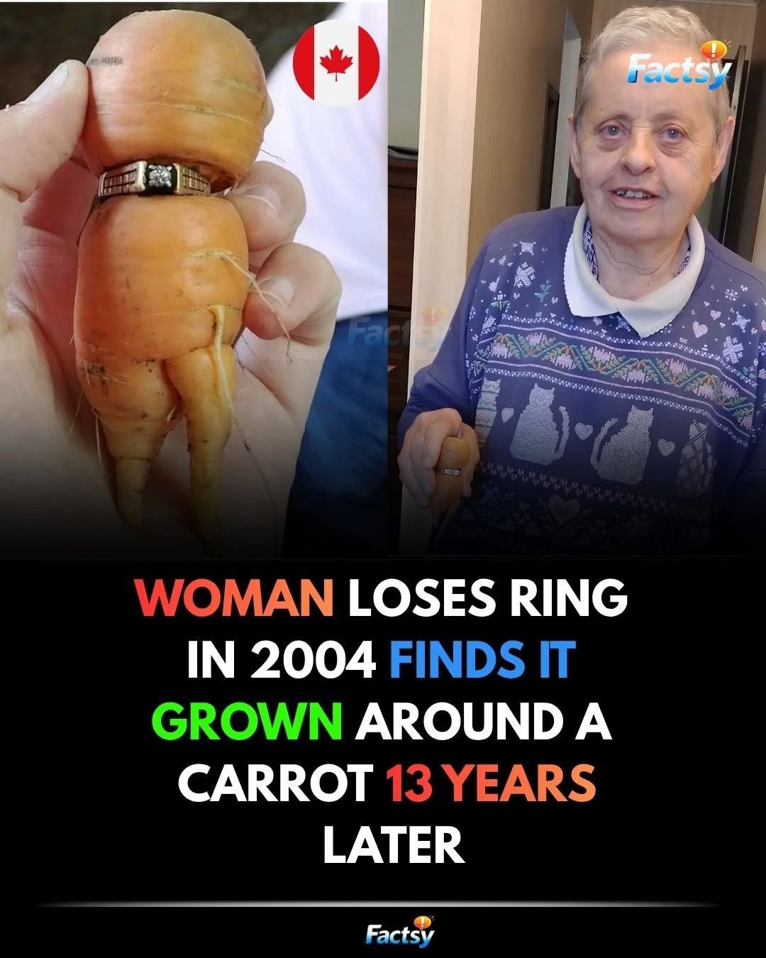 A woman lost her engagement ring in the dirt. Thirteen years passed…see more
