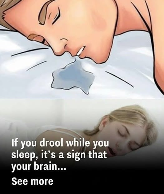 If you drool while you sleep, it’s a sign that your brain…𝗦𝗲𝗲 𝗺𝗼𝗿𝗲