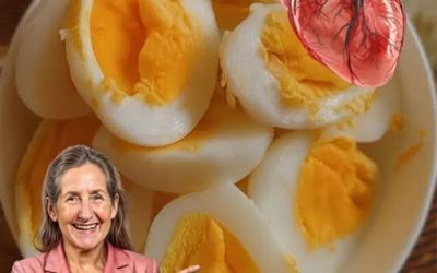 Proven Health Benefits of Eating Eggs Based on Evidence