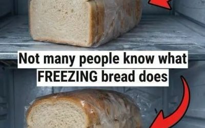 Here’s what happens when bread goes into the freezer.⬇️