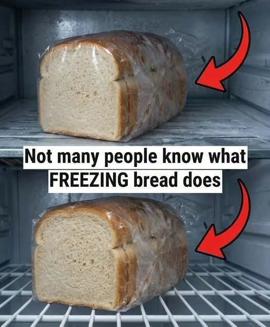 Here’s what happens when bread goes into the freezer.⬇️
