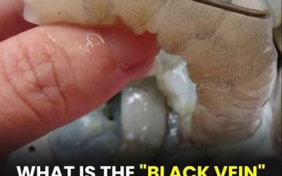 What happens if you eat the black vein in a shrimp’s tail?