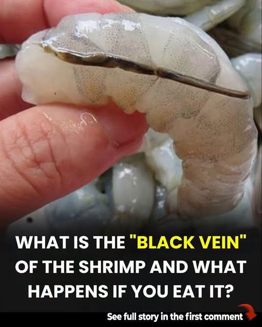 What happens if you eat the black vein in a shrimp’s tail?