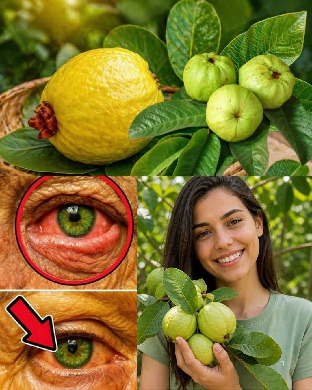 How to use guava to treat eye problems — Natural remedies for the eyes