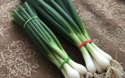 The Difference Between Green Onions, Scallions, Spring Onions, and Chives Explained