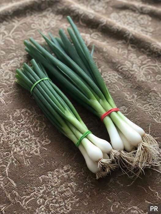 The Difference Between Green Onions, Scallions, Spring Onions, and Chives Explained